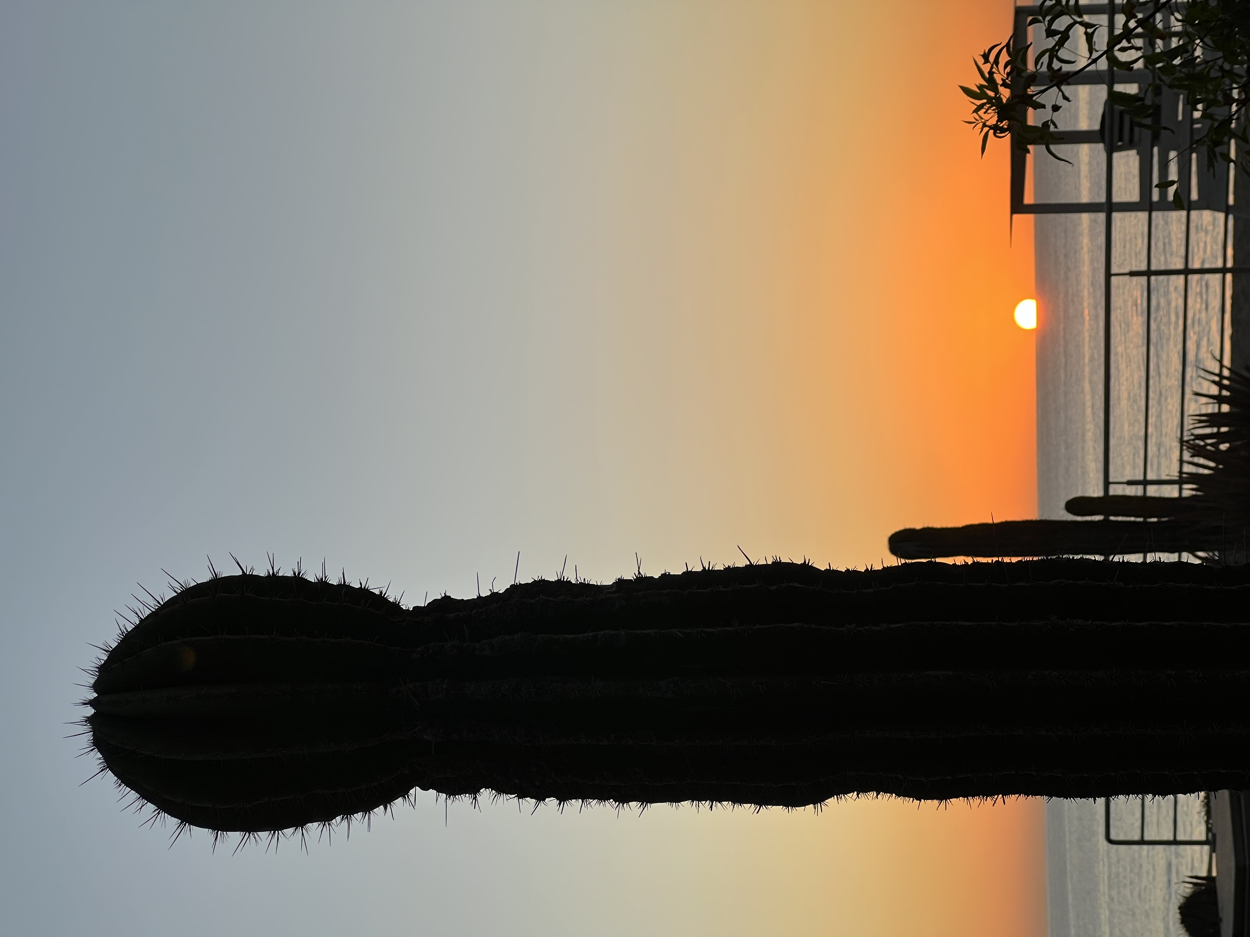 ./2024/13 - Cabo/IMG_4280.jpg